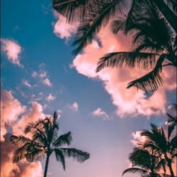 Meet the Posher Other - Meet your Posher, Riley